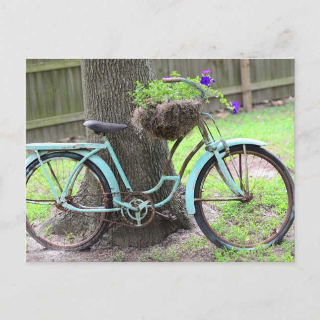 Vintages Bike Blume Basket Fahrrad im Garten Postkarte (Vorderseite)