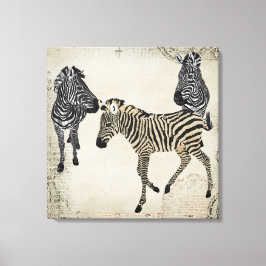 Vintages Black & White Zebra Trio Leinwanddruck