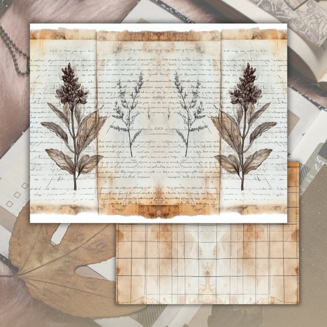 Vintages Blatt des alten botanischen Junk-Journals (Von Creator hochgeladen)