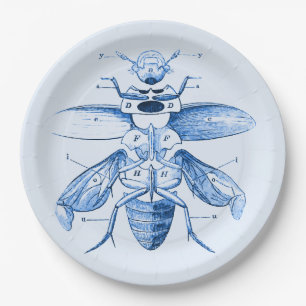 Vintages Blau des Insekten-Bild- der Käfer- Pappteller