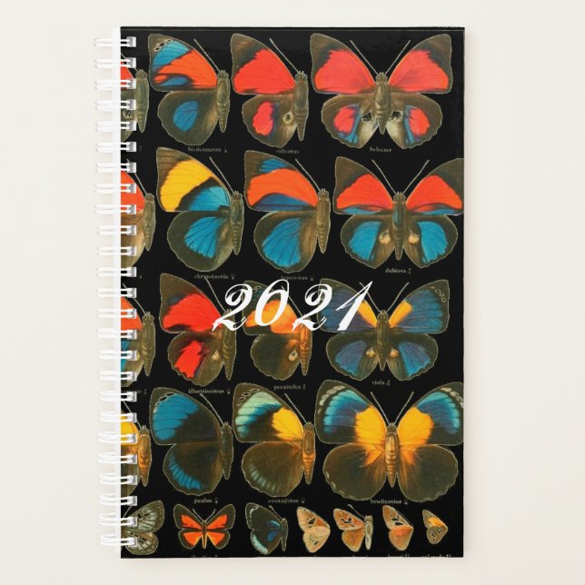 Vintages Blau und Roter Schmetterling Planer (Vorderseite)