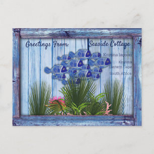 Vintages Blaues Holz, Fisch, rosa Korallen Postkarte