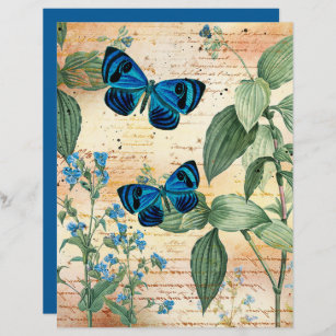 Vintages blaues Schmetterlingsbuch