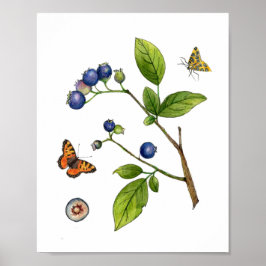 Vintages Blueberry-Botanisches Poster