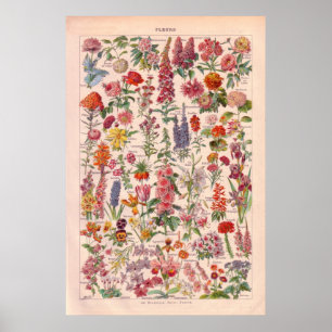 Vintages   Blumenplakat 1920 Poster