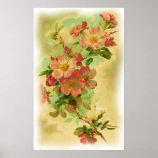 Vintages Blumenposter Poster