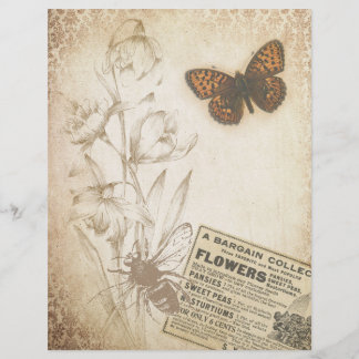 Vintages Blumenschmetterlingsbuch Ephemera