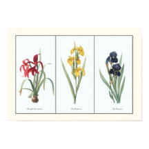 Vintages Blumenstrauß Botanische Kunst