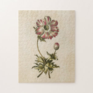 Vintages botanisches Anemon Puzzle