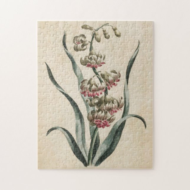 Vintages botanisches BlumenHyakinth Puzzle (Vertikal)