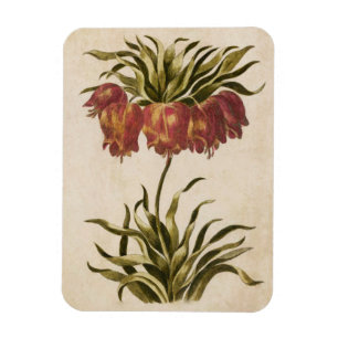 Vintages botanisches Blumenmagazin Magnet