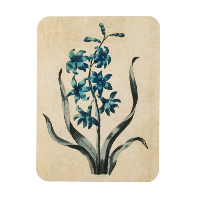 Vintages botanisches Blumenmagazin Magnet (Vertikal)