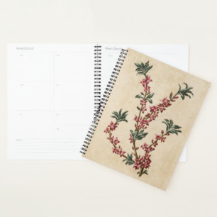 Vintages botanisches Blumenmezereon Planer