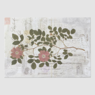 Vintages botanisches Collage - Gewebepapier Seidenpapier