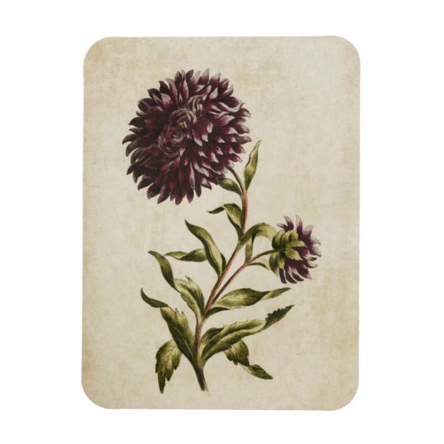 Vintages botanisches Doppelaster-Magnet Magnet (Vertikal)