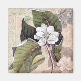 Vintages botanisches Elegantes Südliches Magnolia Magnet