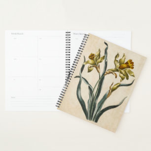 Vintages botanisches florales Daffodil Planer
