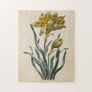Vintages botanisches florales Daffodil Puzzle
