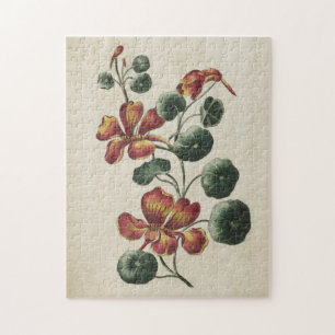 Vintages botanisches florales Nasturtium Puzzle