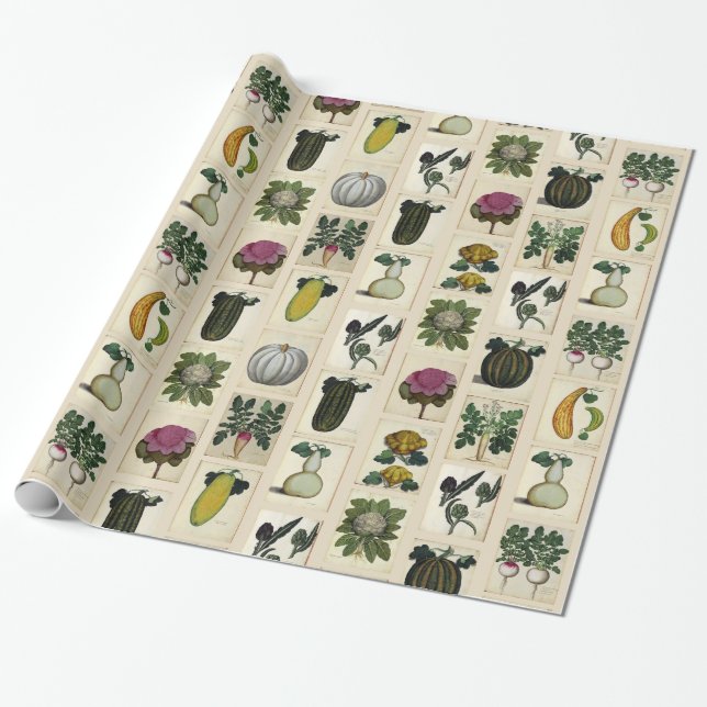 Vintages botanisches geschenkpapier (Ungerollt)