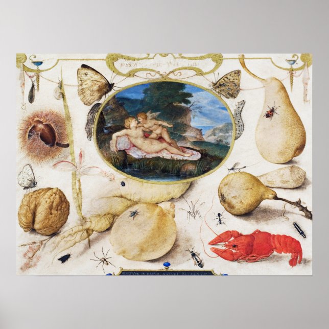 Vintages botanisches Illustrationspaket Poster (Vorne)