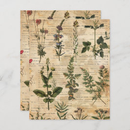 Vintages botanisches Kräuterbuch