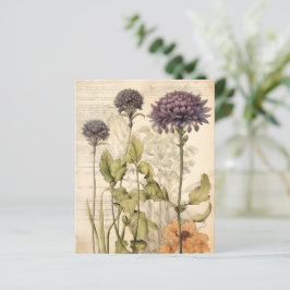 Vintages botanisches Kräuterbuch