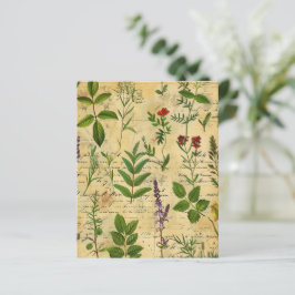 Vintages botanisches Kräuterbuch