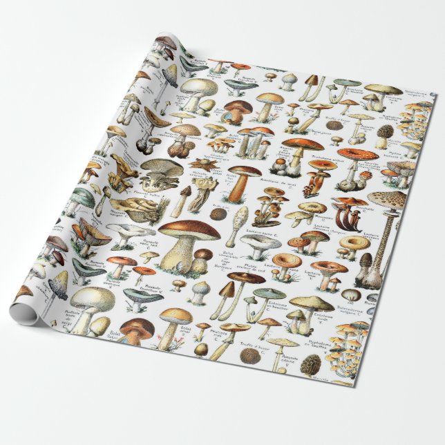 Vintages botanisches Mushroom-Wrappingpapier Geschenkpapier (Ungerollt)