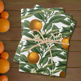 Vintages botanisches Orange Fruchtblossom Muster Geschenkpapier Set