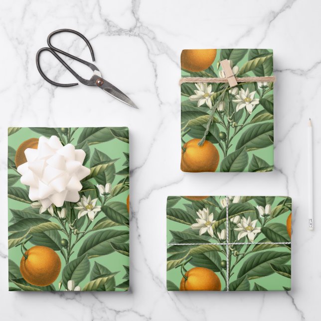 Vintages botanisches Orangenfruchtblossom Geschenkpapier Set (Vorderseite)