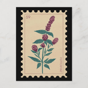 Vintages botanisches Peppermint Postkarte