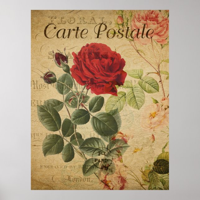 Vintages botanisches Poster - Französische Postkar (Vorne)