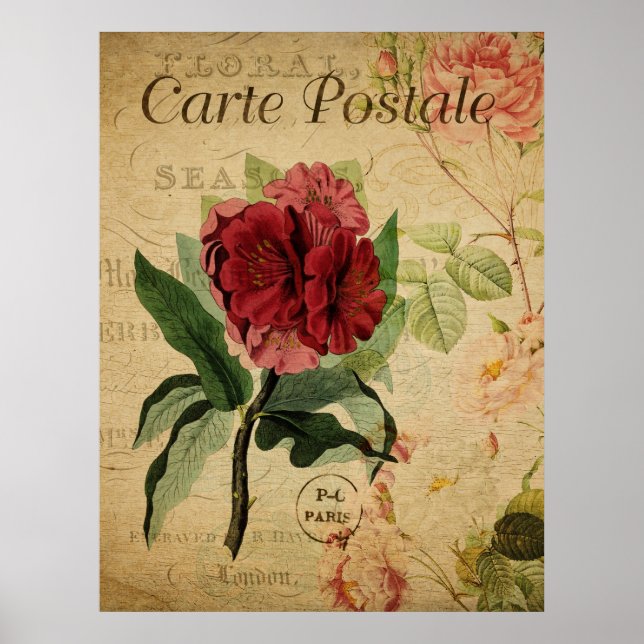 Vintages botanisches Poster - Rhododenron (Vorne)