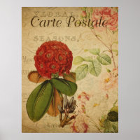 Vintages botanisches Poster - Rhododenron