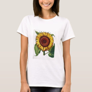 Vintages botanisches - Sonnenblume, T-Shirt