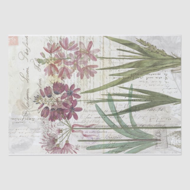 Vintages botanisches Spinnpapier Seidenpapier (Vorderseite)