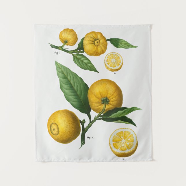 Vintages botanisches Tapisserie Wandteppich (Vorderseite)