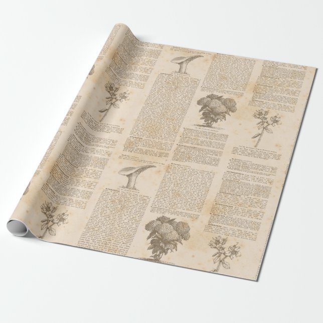 Vintages botanisches Zeitungspapier Geschenkpapier (Ungerollt)