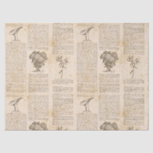 Vintages botanisches Zeitungspapier Seidenpapier