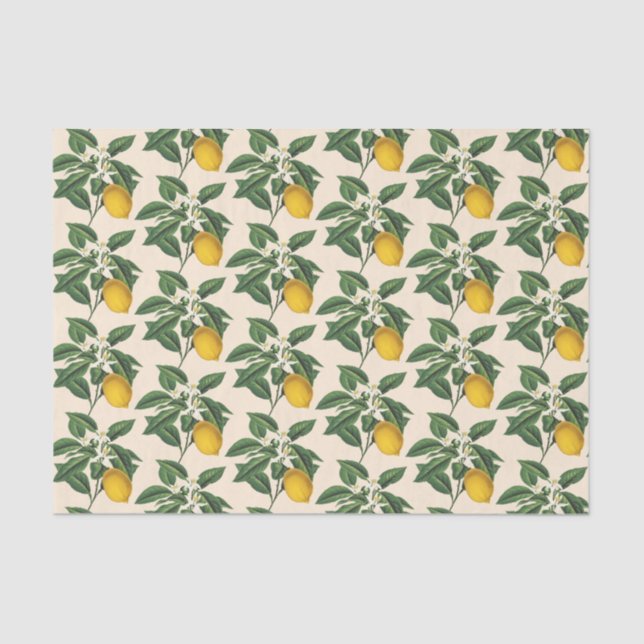 Vintages Botanisches Zitronenfrucht Blossom Beige Seidenpapier (Vorderseite)