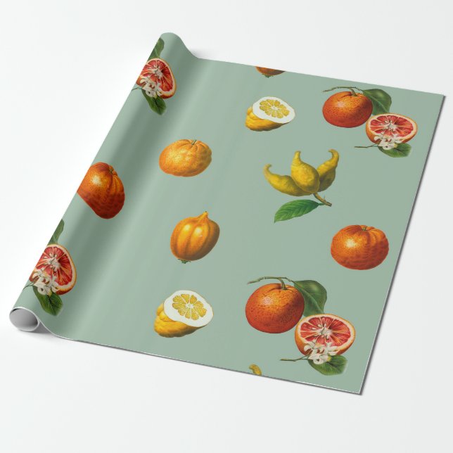 Vintages botanisches Zitruspapier Geschenkpapier (Ungerollt)