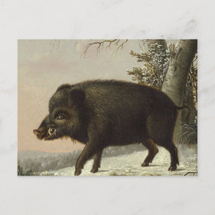 Vintages Braunbär Jagdgemälde, Wildlife Art Postkarte