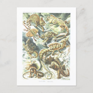 Vintages Buch Illustration Lizards Postkarte