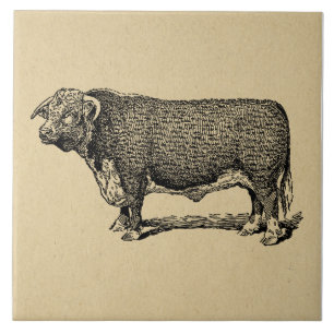 Vintages Bull Country & Farm Themenkunst Fliese