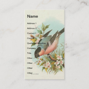 Vintages Bullfinch Visitenkarte
