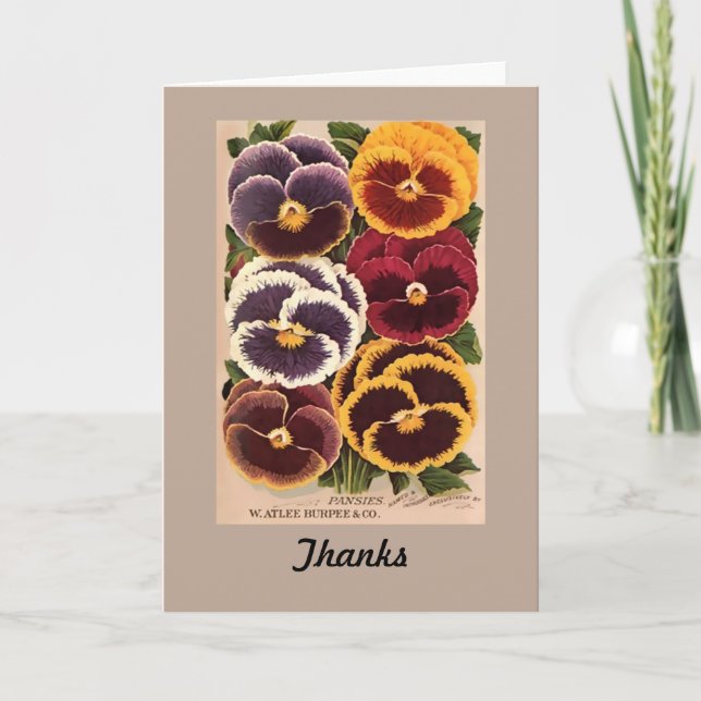 Vintages Burpee sortiertes Stiefmütterchen Dankeskarte (Vorderseite)