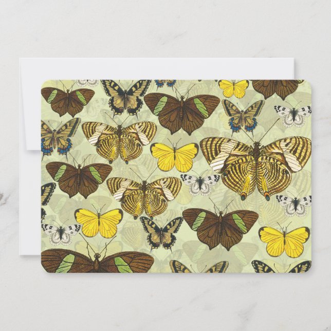 Vintages Butterfly-Diagramm Muster (Vorderseite)