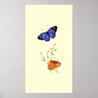 Vintages Butterfly-Poster