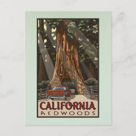 Vintages California Redwoods Travel Postkarte